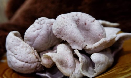 Merintis Usaha Kerupuk Sagu, Resep serta Analisa Usahanya