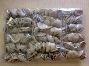 usaha kerupuk jengkol