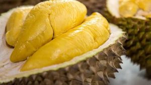 kandungan buah durian