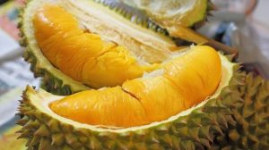 manfaat dari buah durian