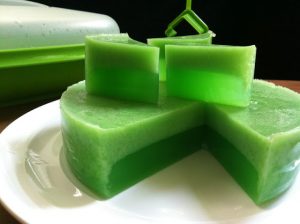 mamfaat agar agar santan
