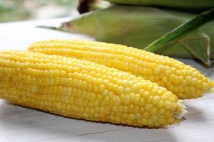 mamfaat jagung untuk kesehatan