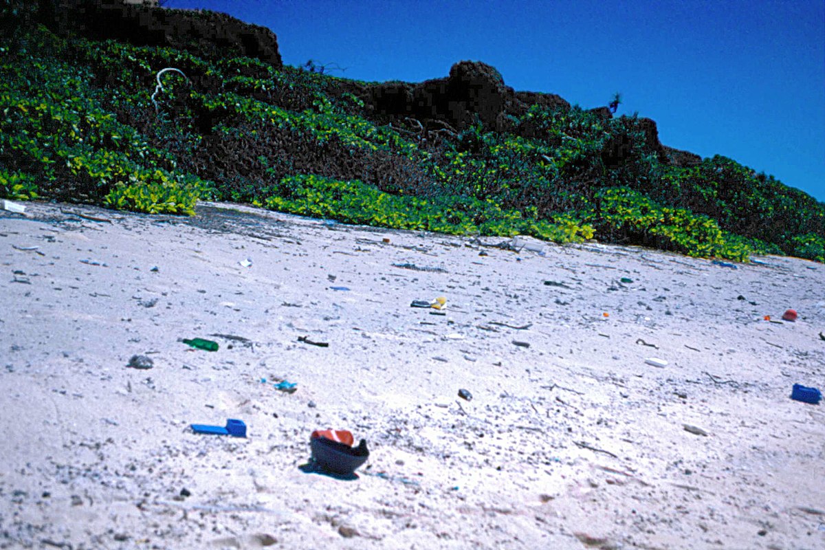 Bahaya Pengunaan Plastik Yang Berlebihan