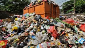Perbedaan Sampah Organik Dan Anorganik