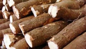 Usaha Keripik Singkong