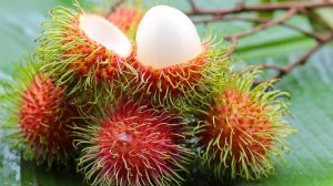 Usaha Keripik Rambutan