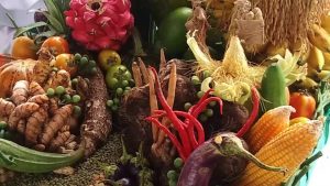 Pemasaran Produk Pertanian Yang Efisien