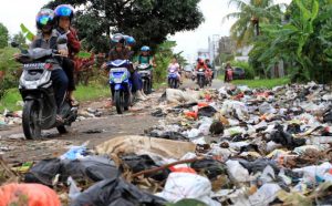 Perbedaan Sampah Organik Dan Anorganik