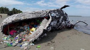 Bahaya Pengunaan Plastik Yang Berlebihan