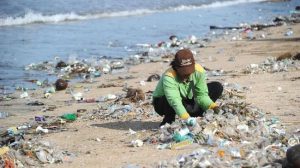 contoh Daur Ulang Sampah Organik Dan Anorganik