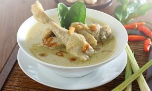 langkah dan cara masak opor ayam