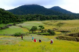 Melihat Indahnya Savana di Bukit Pangonan .