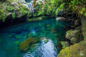 Menenangkan Jiwa di Telaga Sunyi, Purwokerto