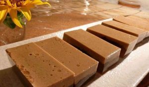 cara membuat agar agar santan coklat