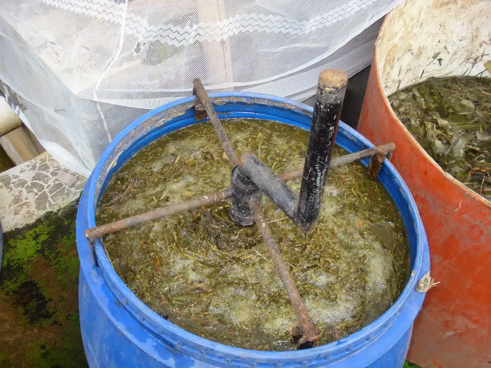 Cara Membuat Pupuk Kompos Dari Daun