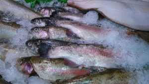 cara pengawetan ikan