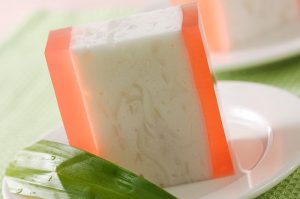 cara membuat puding air kelapa muda