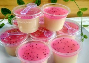 Manfaat Puding Kelapa Muda