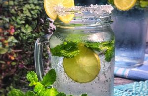 aneka minuman squash