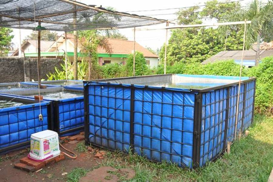 cara membuat kolam terpal di atas tanah
