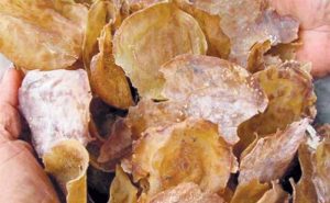 cara buat emping jengkol