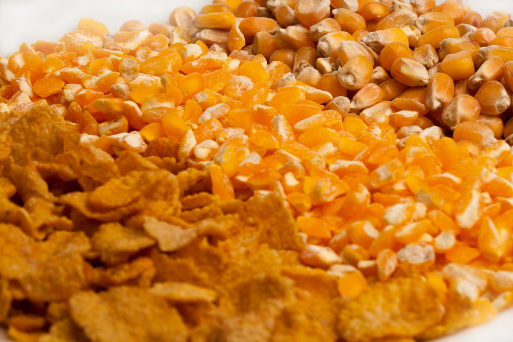 Proses Pembuatan Emping Jagung Yang Mudah Dan Juga Tepat