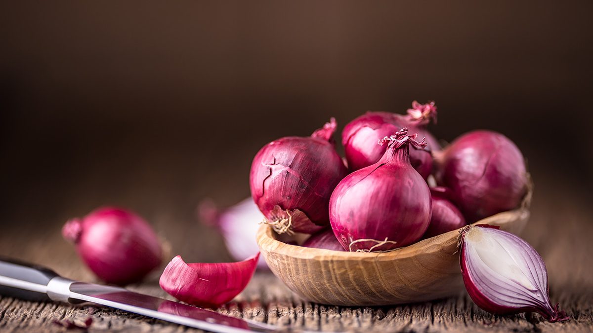 Menanam Bawang Merah di Air atau Hidroponik Dengan Mudah
