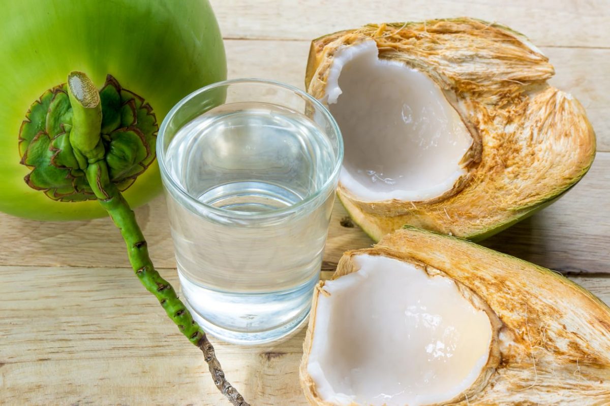 Jarak Tanam Kelapa Hibrida Yang Ideal
