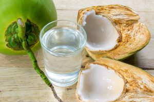 Jarak Tanam Kelapa Hibrida Yang Ideal