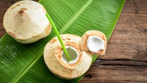 Definisi Kelapa