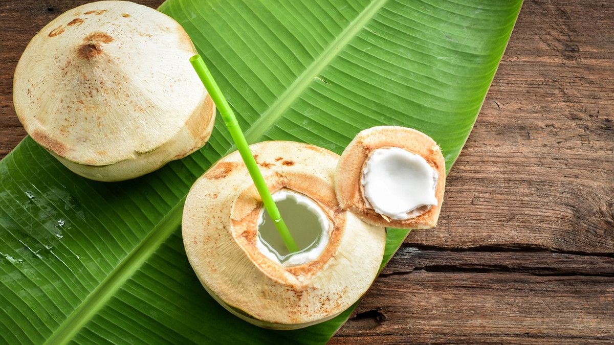 Definisi Kelapa