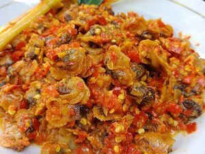 Kerang Dara