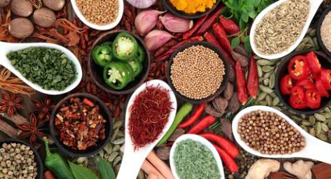 Solusi Praktis Pengaduk Bumbu untuk Dapur Lebih Efisien