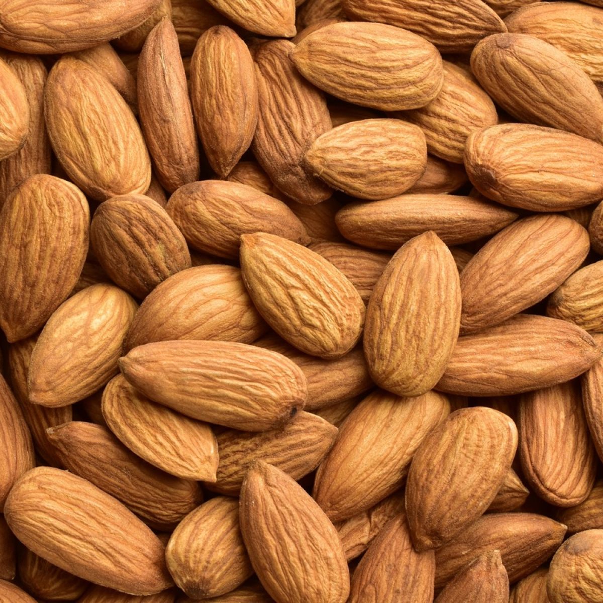 Badam