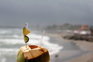 Definisi Buah Kelapa