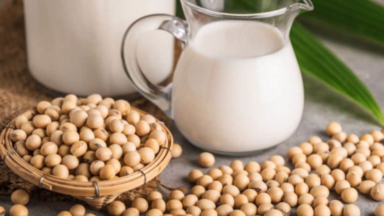 Cara Membuat Susu Kedelai agar Tidak Langu