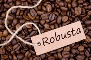 KOPI ROBUSTA