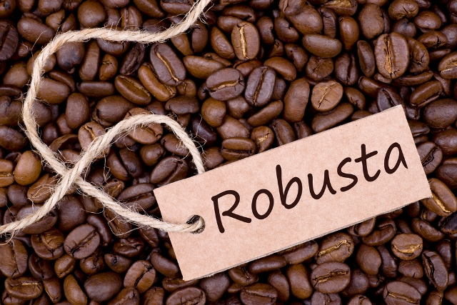 KOPI ROBUSTA
