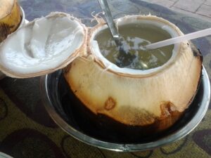 kelapa muda bakar