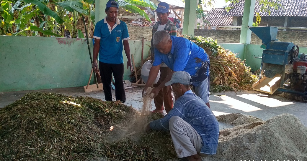 cara fermentasi jerami sistem terbuka