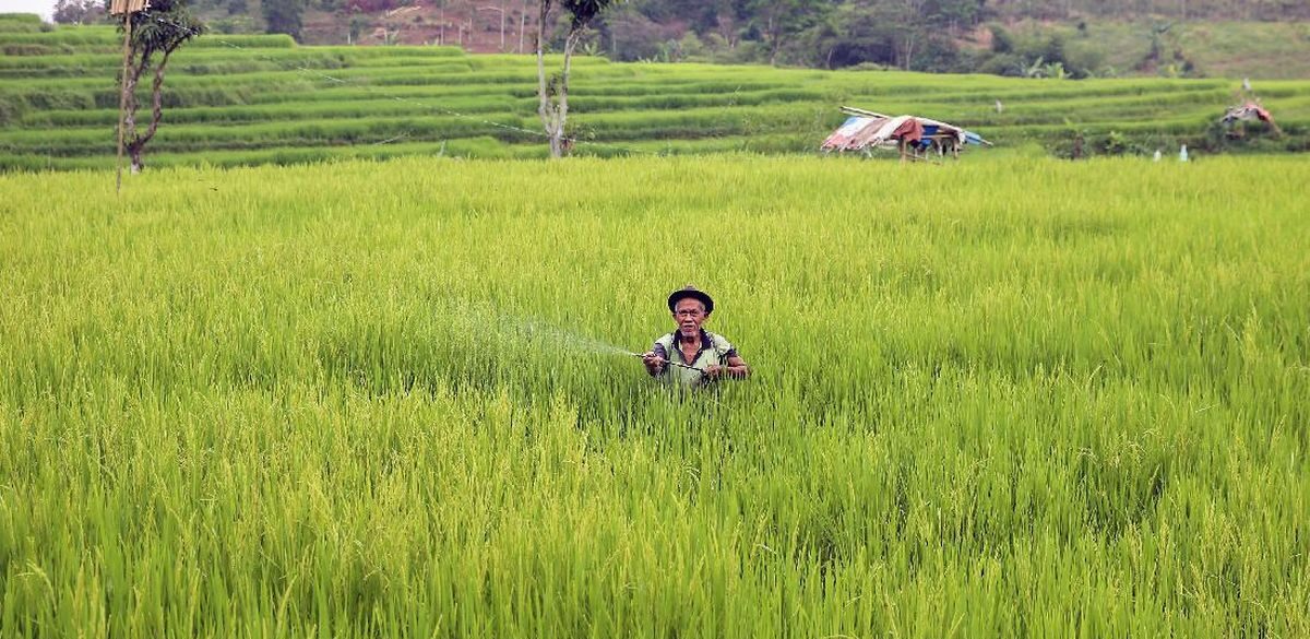 Usaha Pemerintah Untuk Meningkatkan Hasil Pertanian