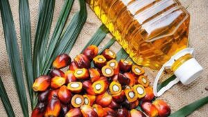 cara membuat minyak goreng dari kelapa sawit