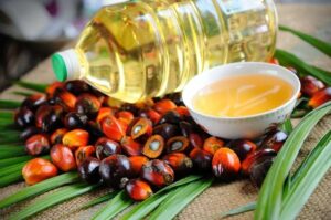cara membuat minyak goreng dari kelapa sawit