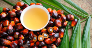cara membuat minyak goreng dari kelapa sawit