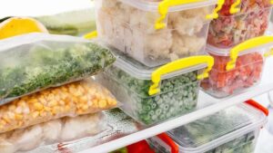 rincian modal usaha frozen food