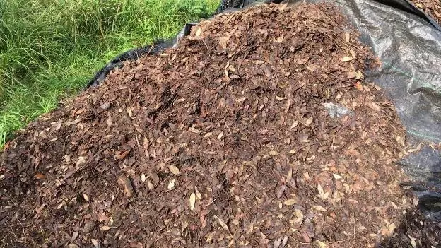 cara membuat pupuk kompos dari daun