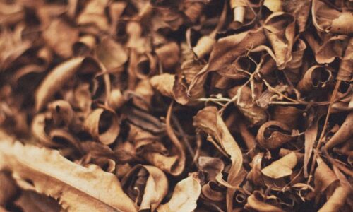 Cara Membuat Kompos dari Daun Kering