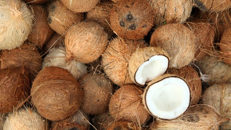 cara membuat minyak kelapa tradisional