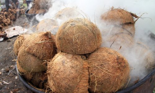 Bisnis Inovatif Berbahan Tempurung Kelapa