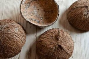Bisnis Inovatif Berbahan Tempurung Kelapa